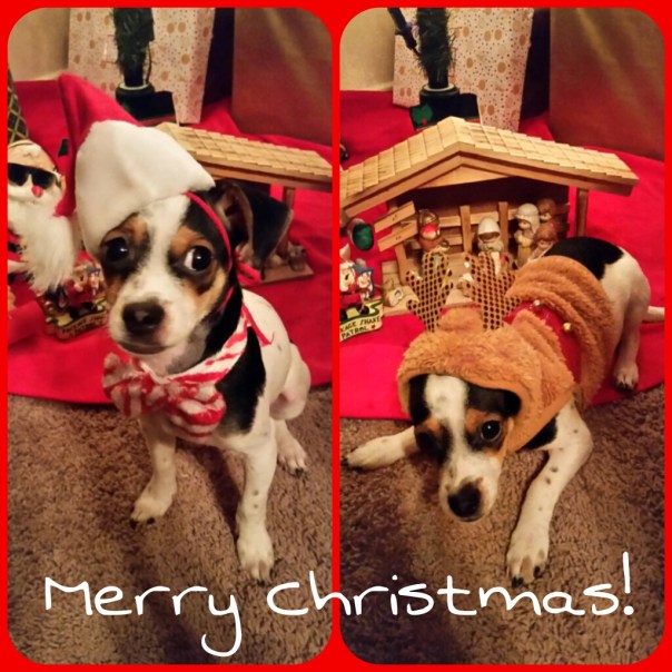 PicsArt_1418964924217