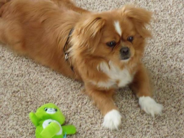 10940997_935200189853662_7410424358283856327_n