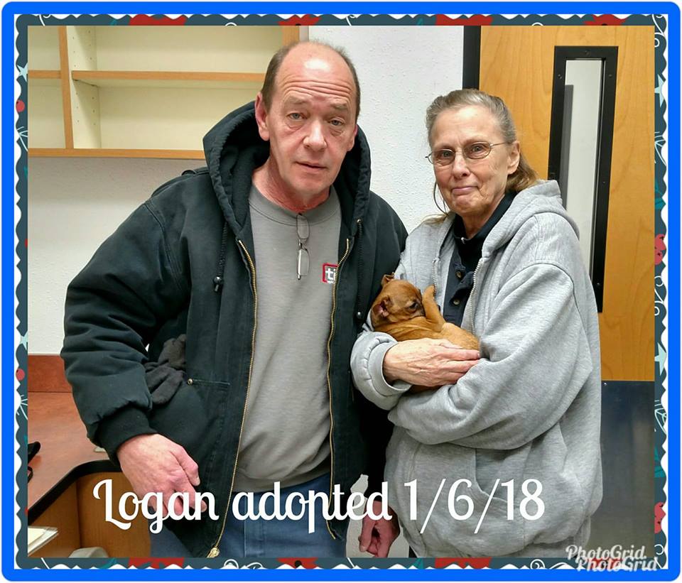 Logan Adopted