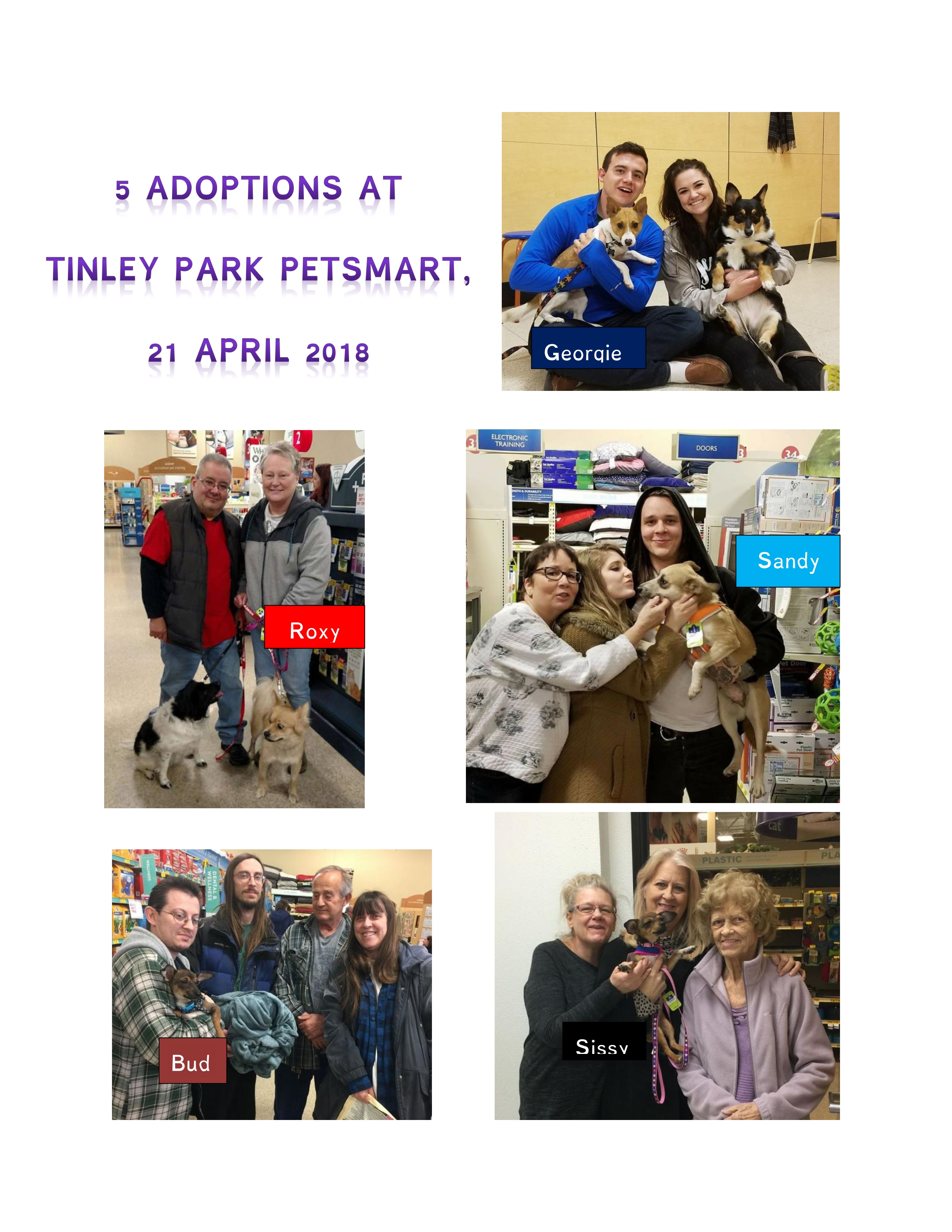 5 adoptions