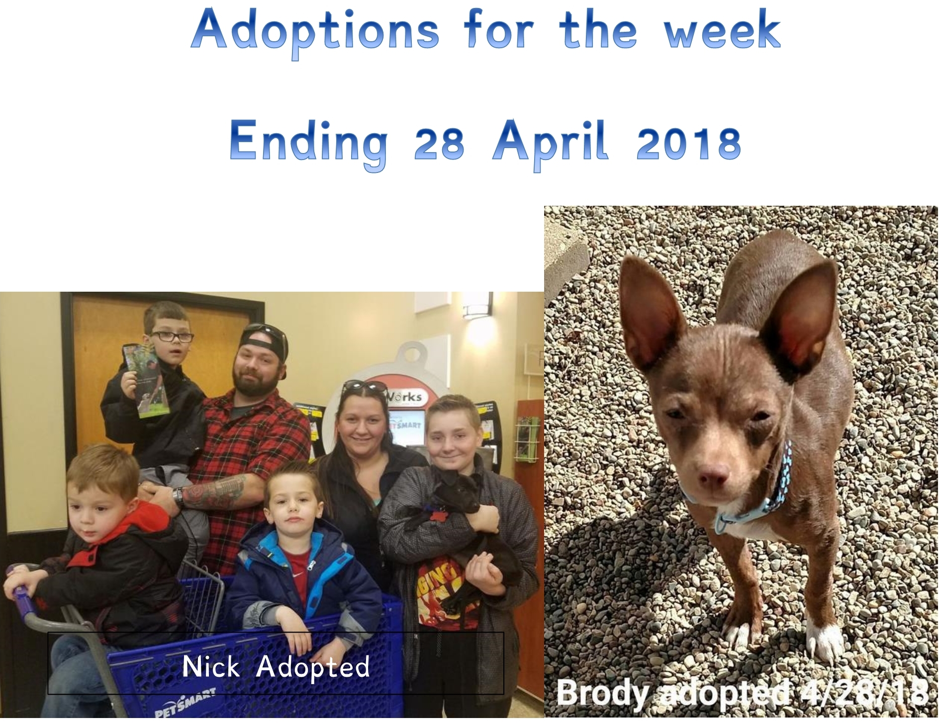 Adoptions week ending 28 April