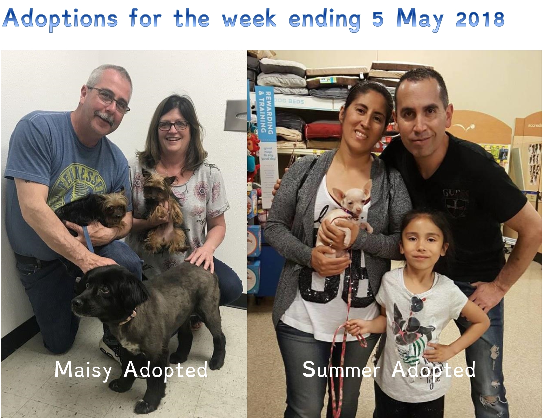 Adoptions for the week ending 5 May 2018