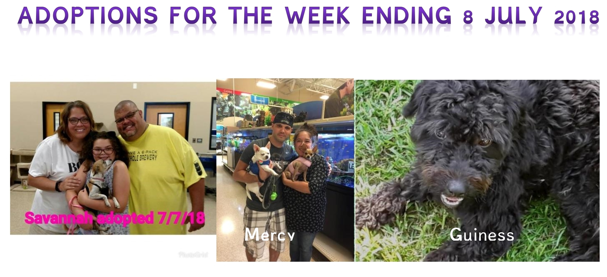 Adoptions for the week ending 8 July 2018