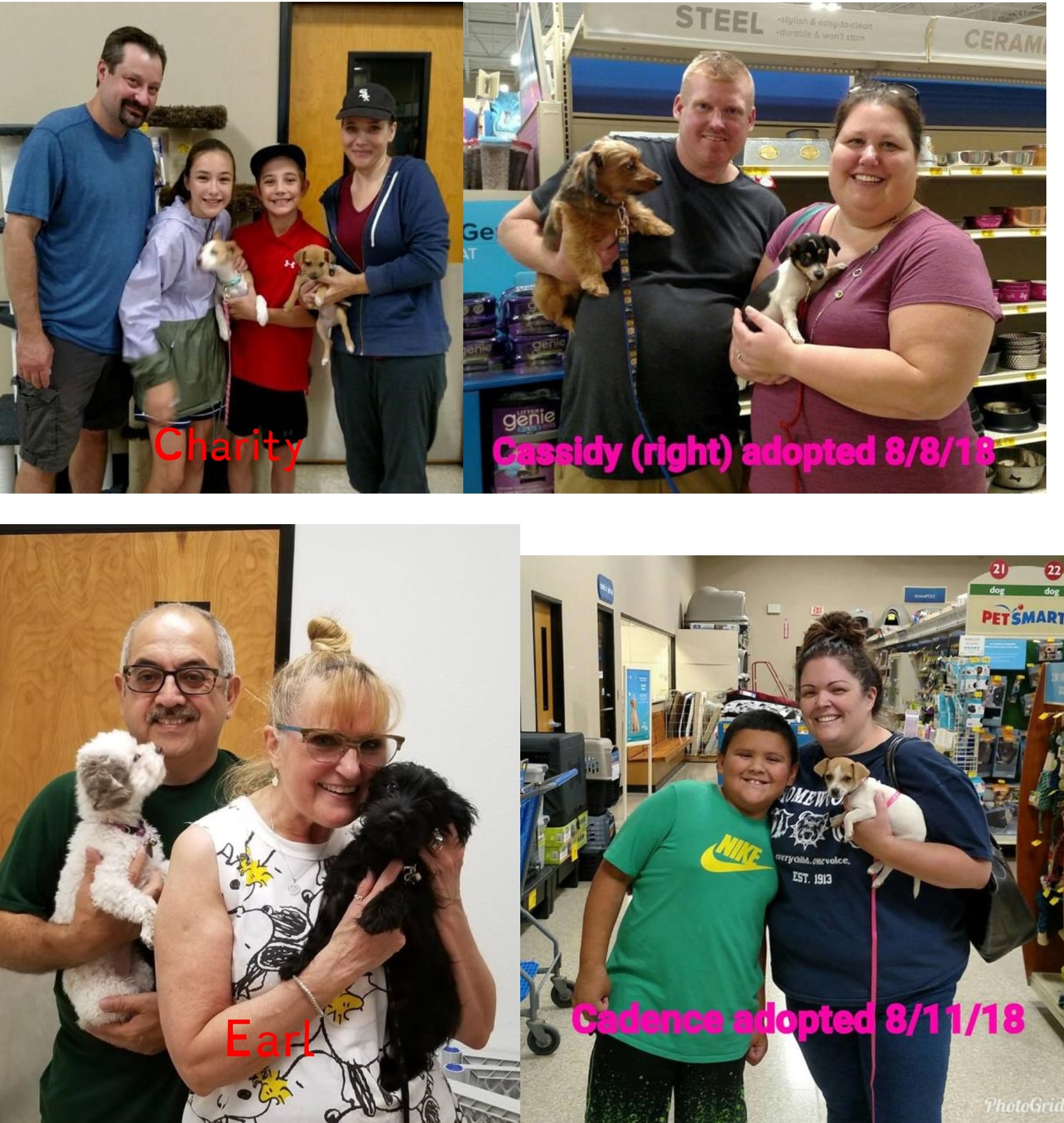 Adoptions for the week ending 12 August 2018
