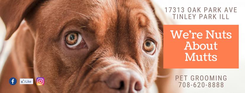 We're Nuts About Mutts