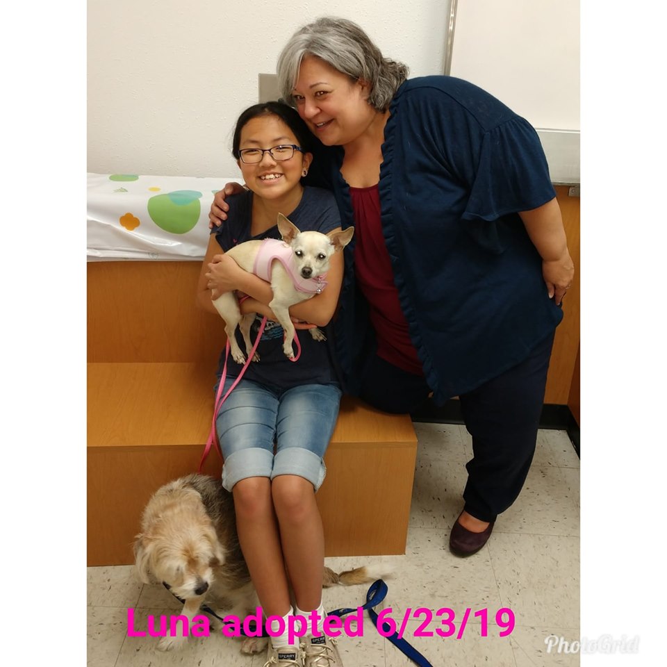 Luna adopted 20190623