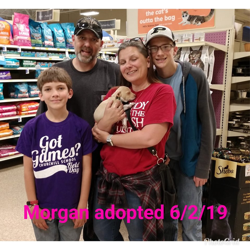 Morgan adopted