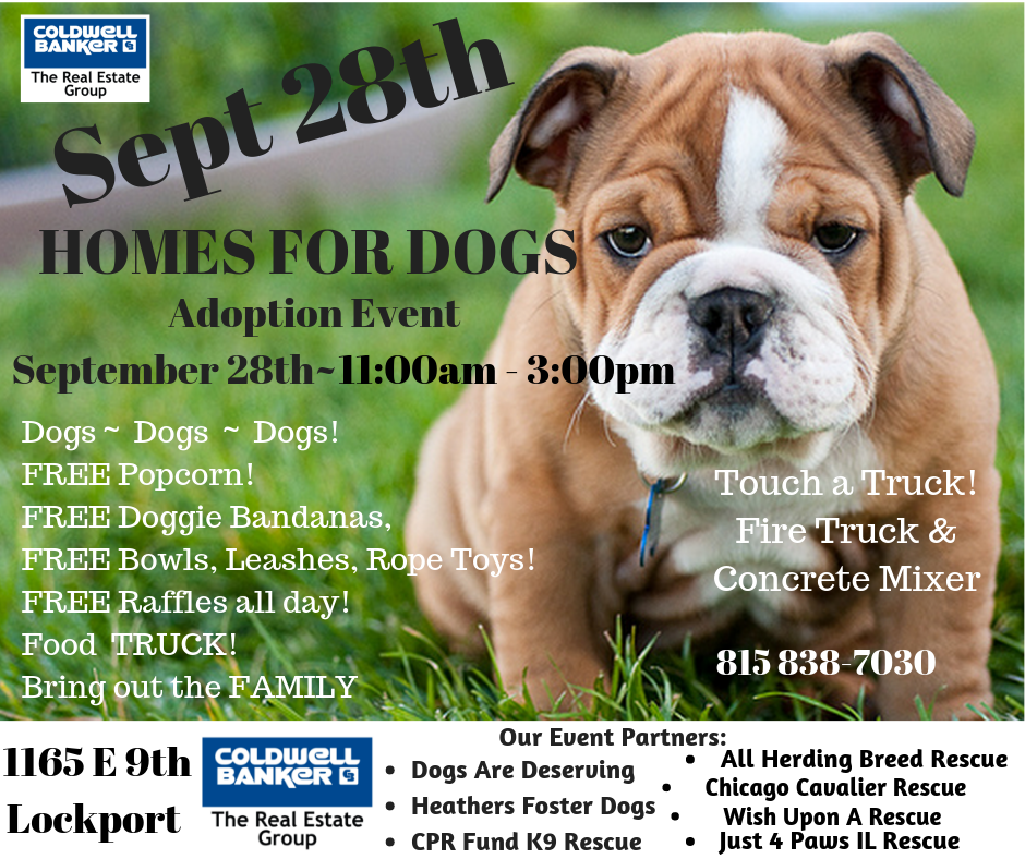 Coldwell Banker Homes for Dogs