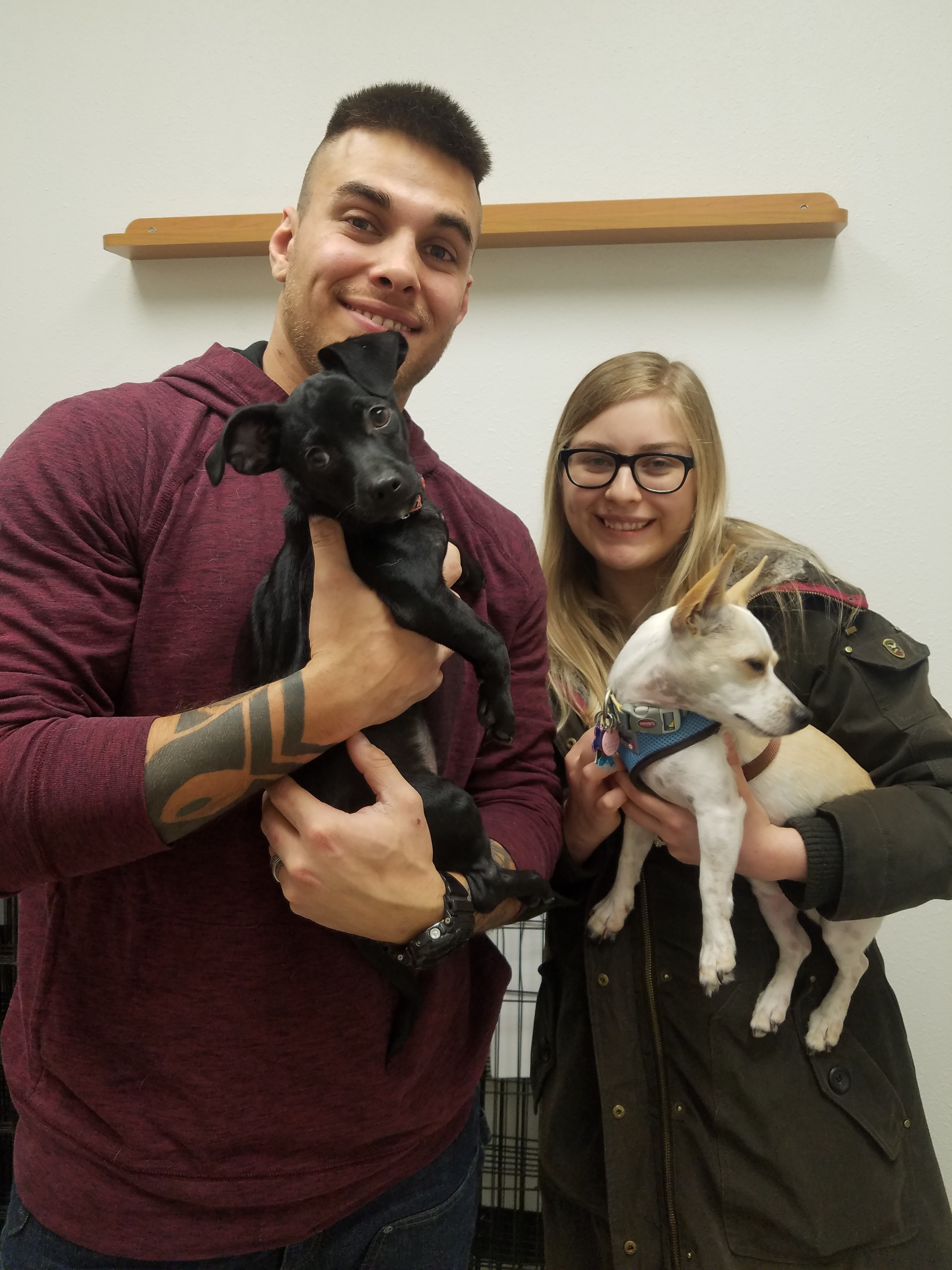 JIngle Adopted 20200216.jpg