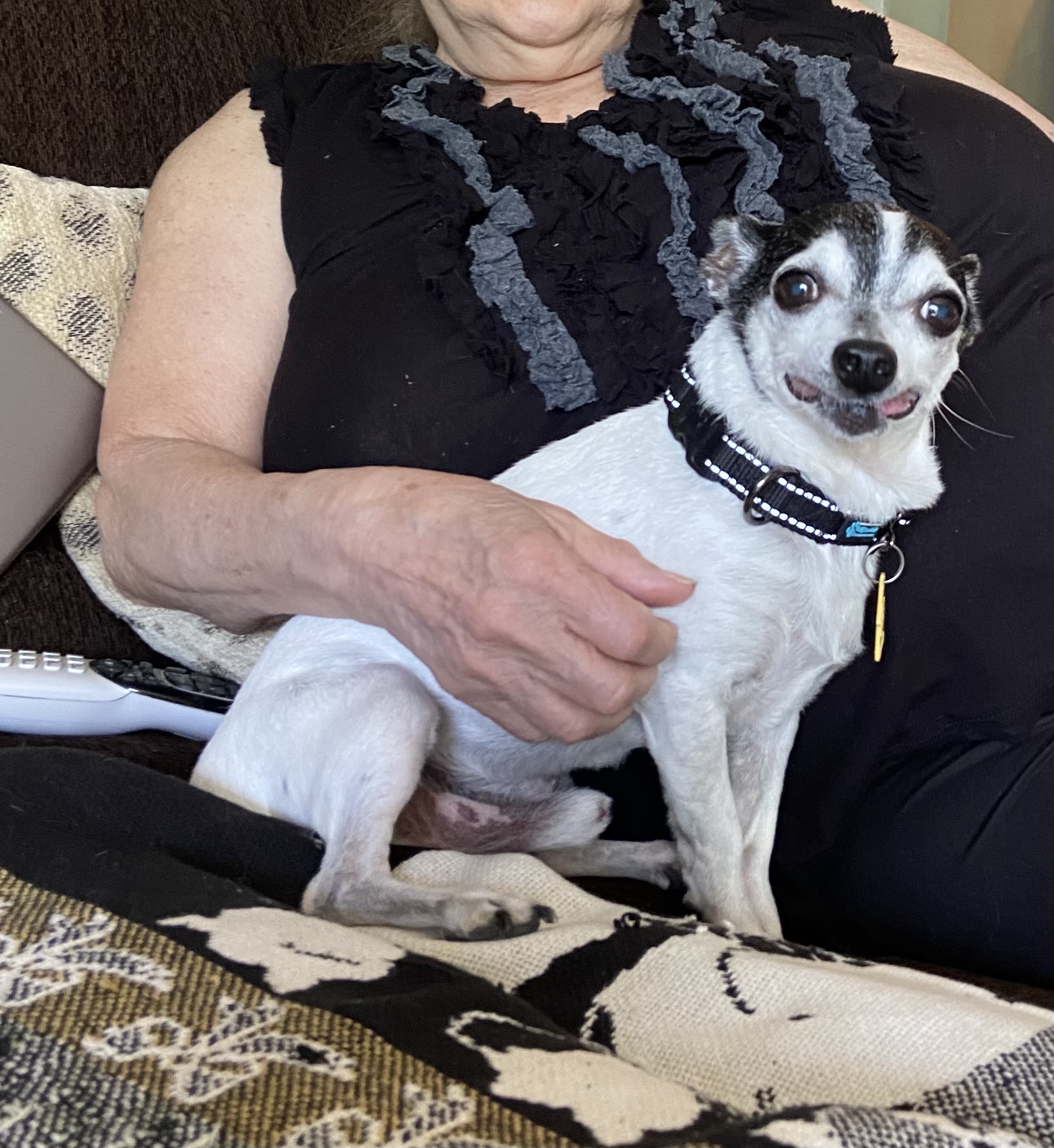 IMG_6588_20210706_144448