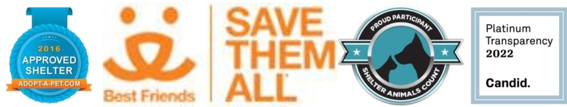 4 Individual Badges 2022