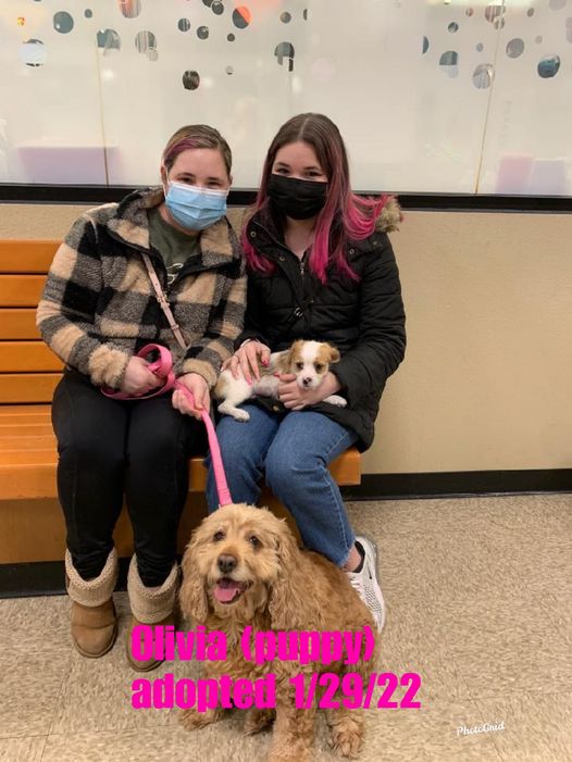 Olivia adopted