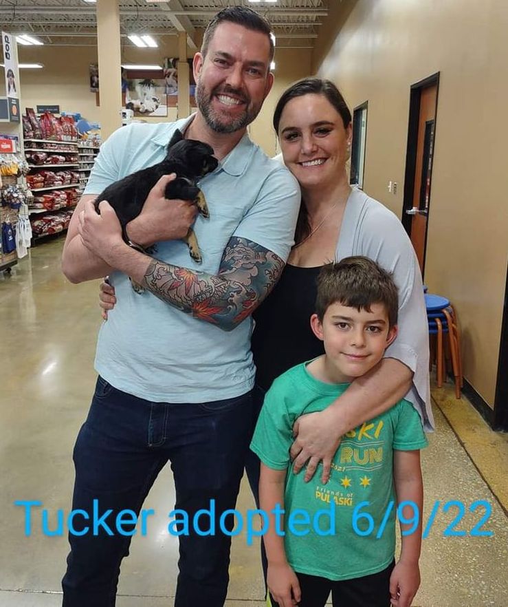 Tucker Adopted