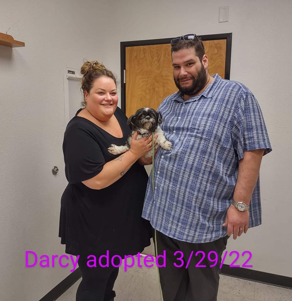 Darcy Adopted