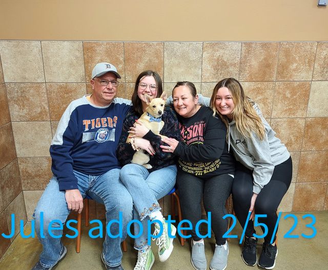 Jules Adopted