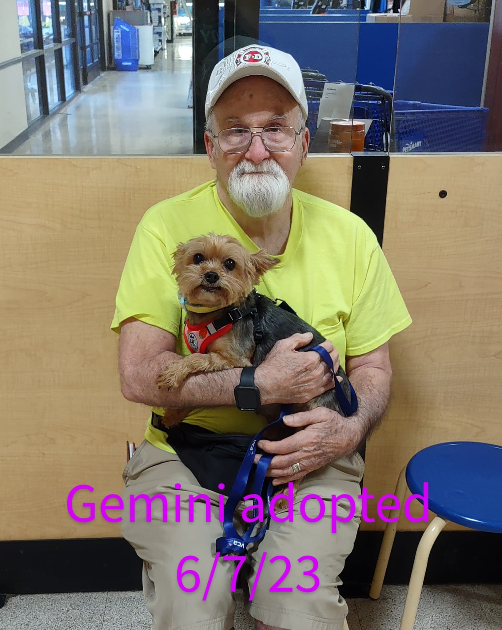 Gemini adopted