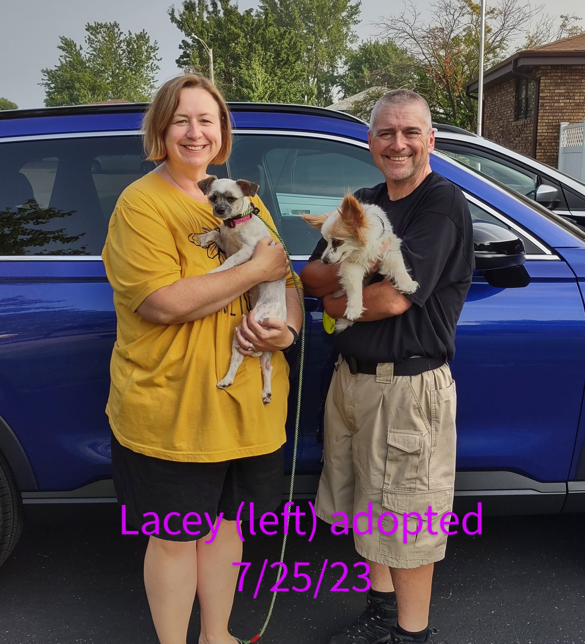 Lacey adopted